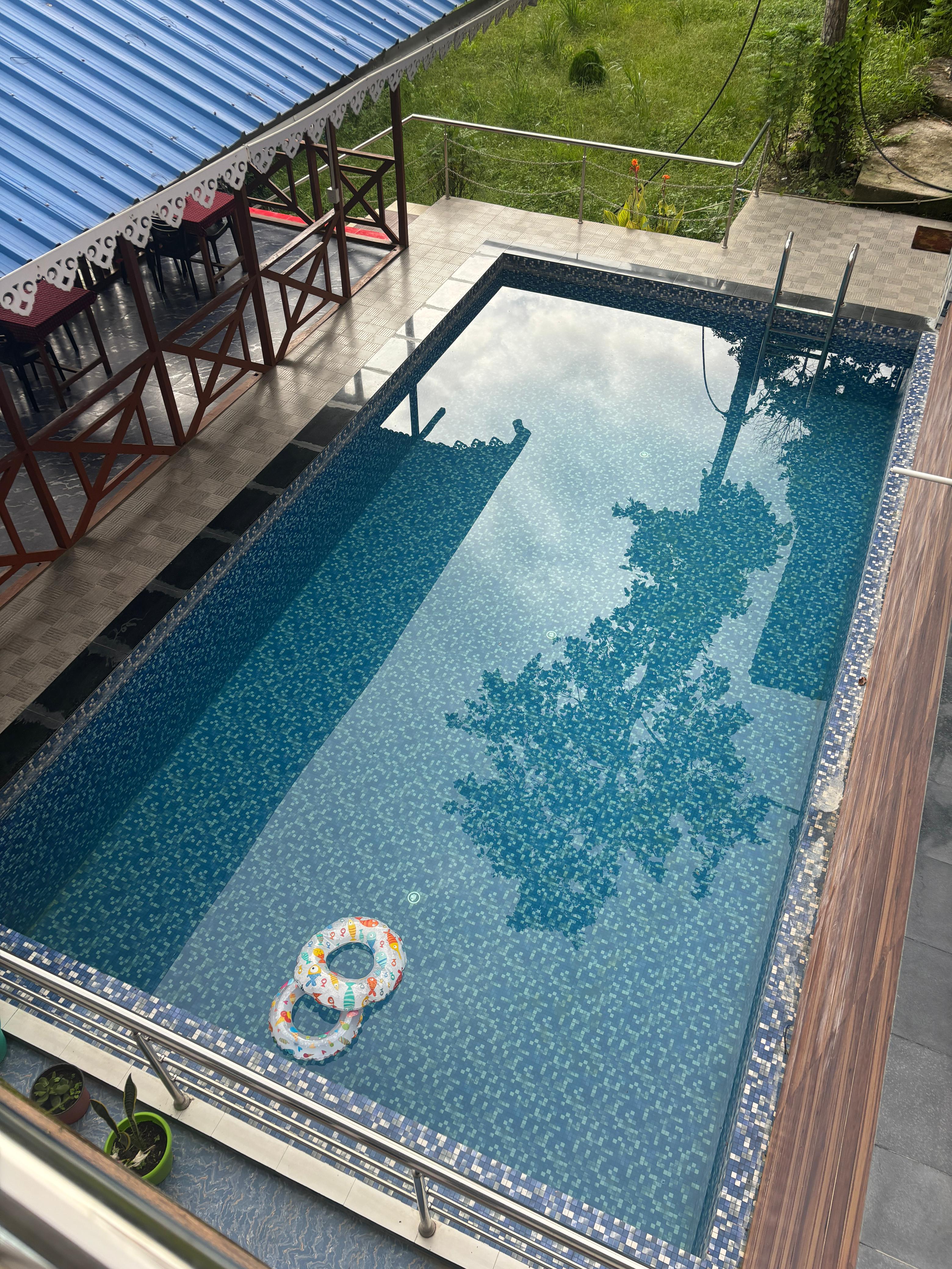 Tea Gardens near Peafowl Homestay